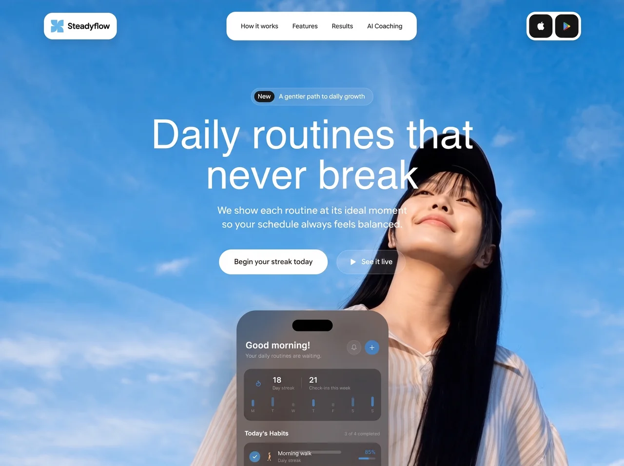 The Steadyflow website